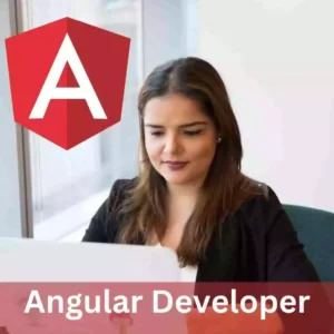 Angular Developer Parangat Technologies Noida, Uttar Pradesh, India